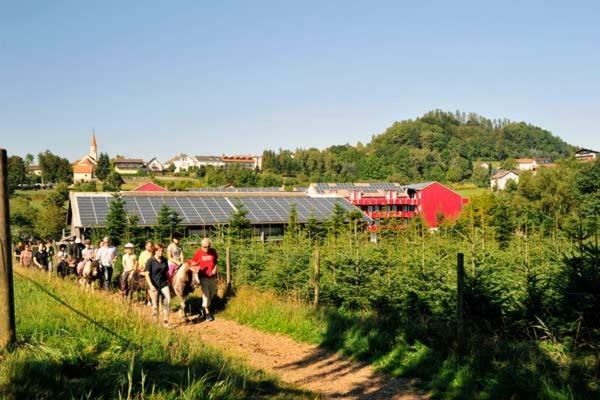 Familienhotel Reiterhof Runding Eksteriør billede